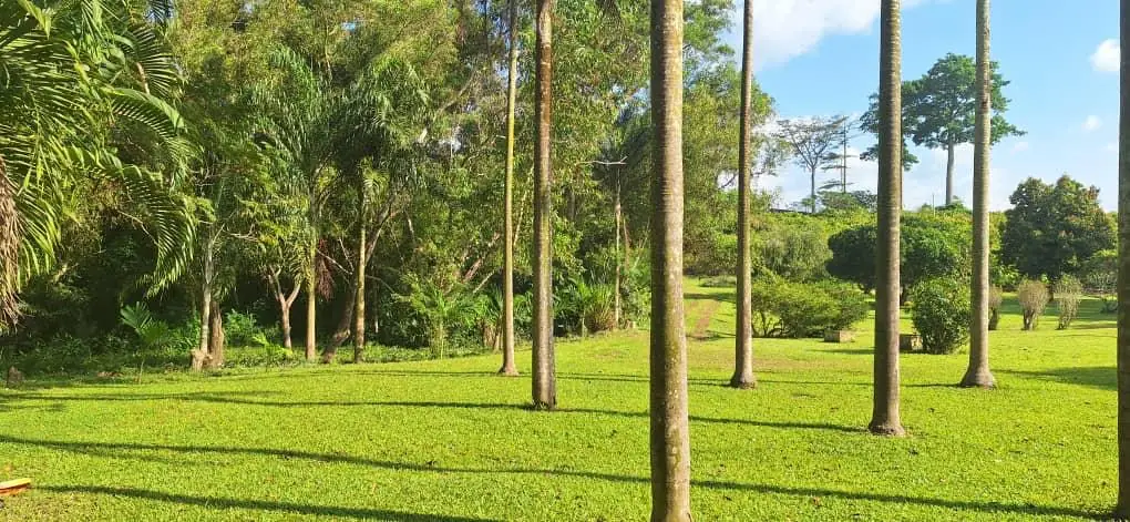 Le domaine SN-SIAT